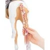 Our Generation From Hair to There Palomino Paint Horse Accessory Set for 18" Dolls -Our Generation Doll Shop unnamed file 17